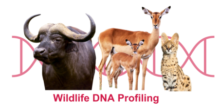 Wildlife DNA profiling